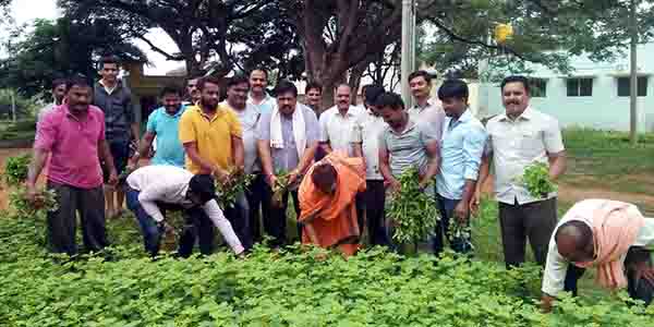 ನರೇಂದ್ರ ಮೋದಿ ಜನ್ಮ ದಿನ: ಎಪಿಎಂಸಿ ಆವರಣದಲ್ಲಿ ಶ್ರಮದಾನ